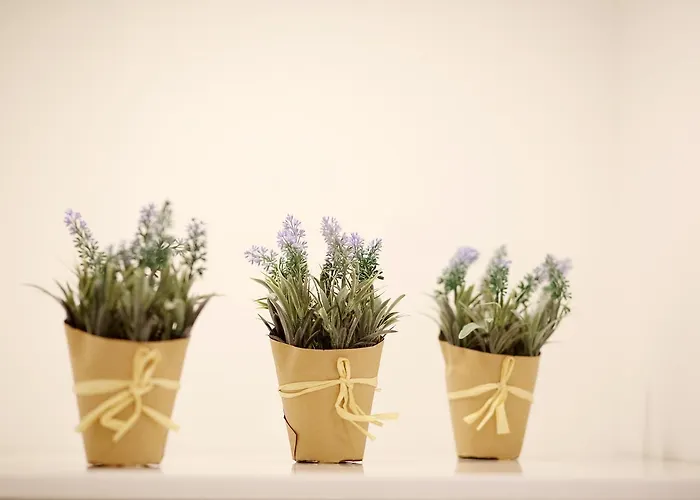 올드 타운 스위트